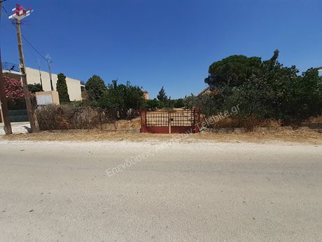 Land plot 810sqm for sale-Kalivia Thorikou » Lagonisi