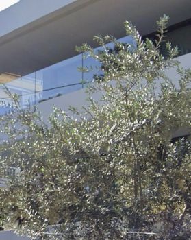 Detached home 460sqm for sale-Alimos » Center