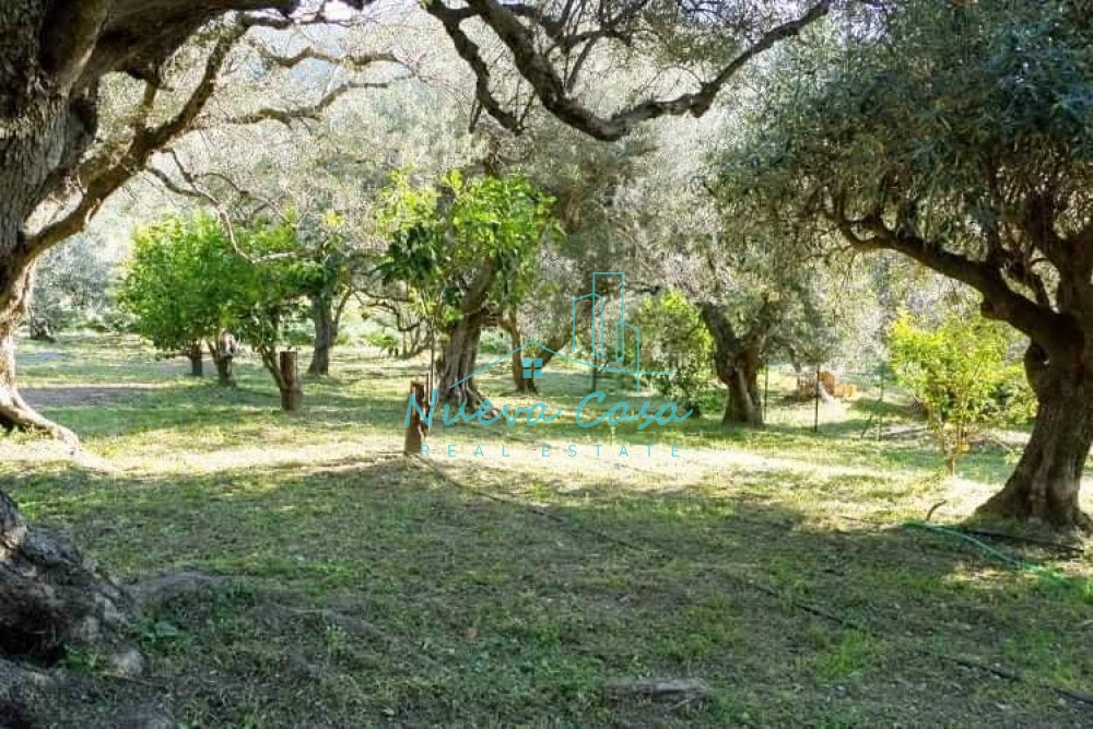 Οικόπεδο 738 τ.μ. προς πώληση, Νέο Σούλι Πάτρας