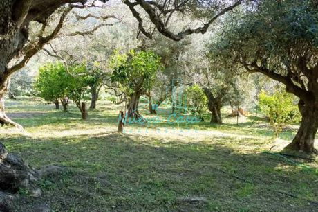 Οικόπεδο 738τ.μ. για πώληση-Πάτρα » Νέο σούλι
