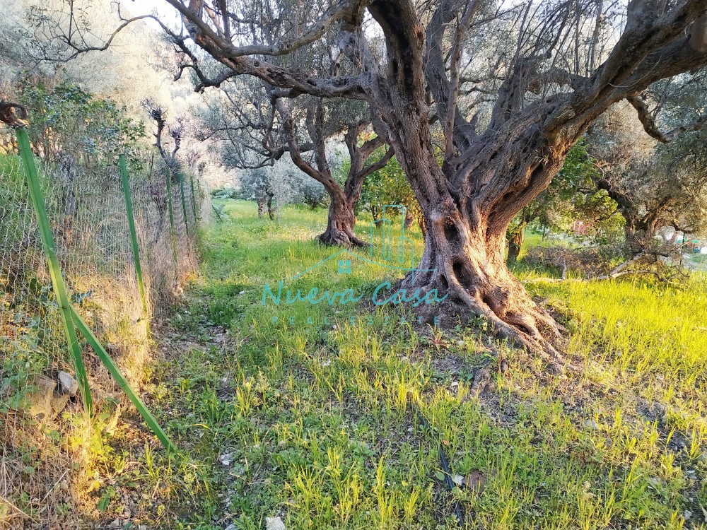 Οικόπεδο 738 τ.μ. προς πώληση, Νέο Σούλι Πάτρας