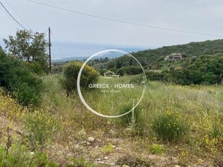 Land plot 1.661 sqm for sale, Messinia, Petalidi-thumb-10