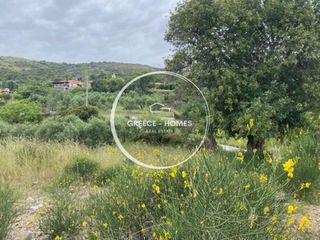 Land plot 1.661 sqm for sale, Messinia, Petalidi-thumb-3