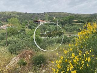 Land plot 1.661 sqm for sale, Messinia, Petalidi-thumb-5