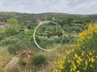 Land plot 1.661 sqm for sale, Messinia, Petalidi-thumb-11