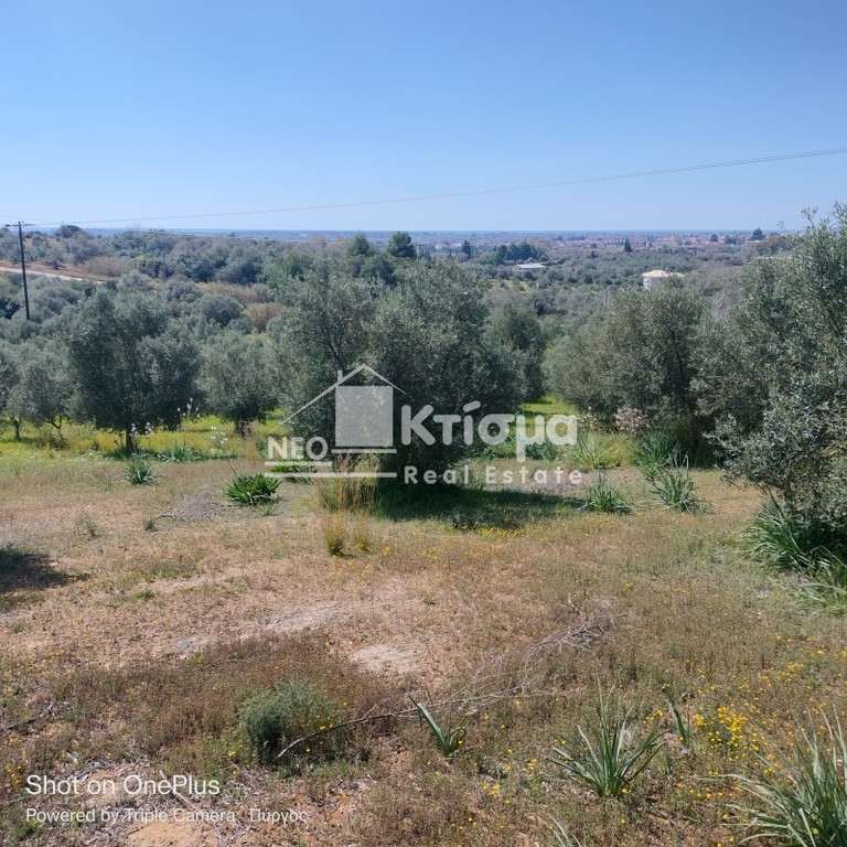 Οικόπεδο 9.894 τ.μ. πρός πώληση, Ν. Ηλείας, Πύργος