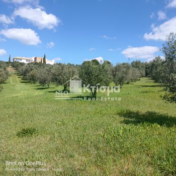 Land plot 9.894sqm for sale-Pirgos » Koliri