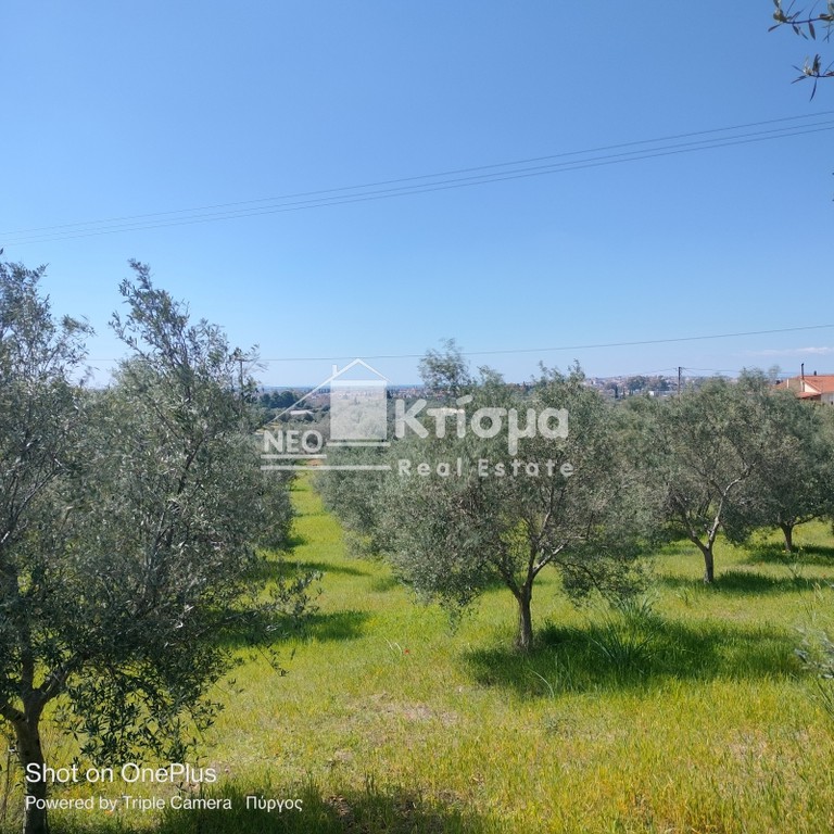Οικόπεδο 9.894 τ.μ. πρός πώληση, Ν. Ηλείας, Πύργος