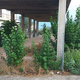 Οικόπεδο 780τ.μ. για πώληση-Λαμία » Κέντρο