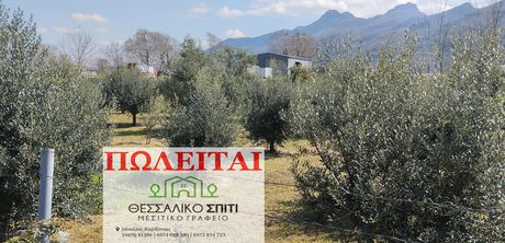 Αγροτεμάχια 850 τ.μ. για πώληση