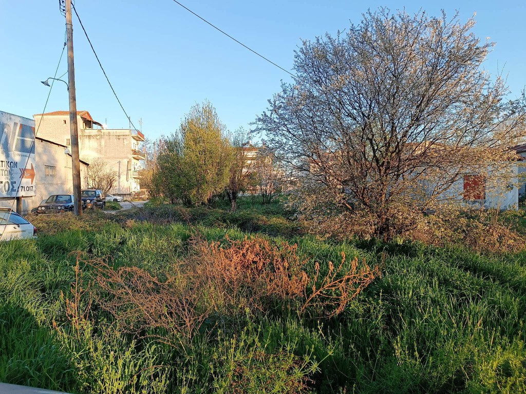 Οικόπεδο 500 τ.μ. προς πώληση, Κέντρο Τρικάλων