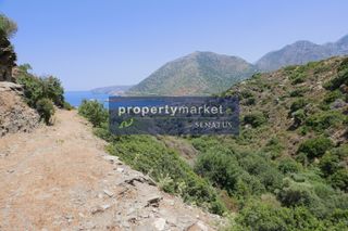 Αγροτεμάχια 27.000 τ.μ. προς πώληση, Μπαλί-thumb-12