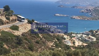 Αγροτεμάχια 27.000 τ.μ. προς πώληση, Μπαλί-thumb-7