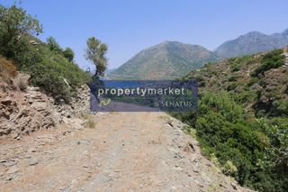 Αγροτεμάχια 27.000 τ.μ. προς πώληση, Μπαλί-thumb-11