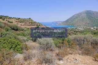 Αγροτεμάχια 27.000 τ.μ. προς πώληση, Μπαλί-thumb-4