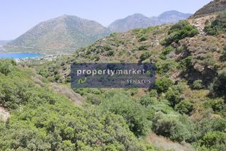 Αγροτεμάχια 27.000 τ.μ. προς πώληση, Μπαλί-thumb-16