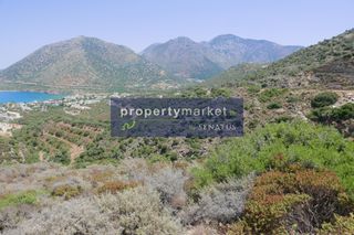 Αγροτεμάχια 18.000 τ.μ. προς πώληση, Μπαλί-thumb-16