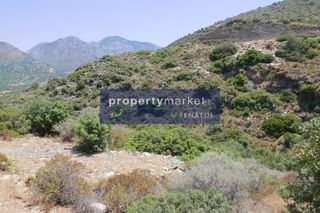 Αγροτεμάχια 18.000 τ.μ. προς πώληση, Μπαλί-thumb-5