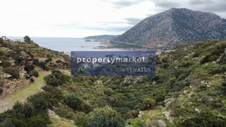 Αγροτεμάχια 18.000 τ.μ. για πώληση