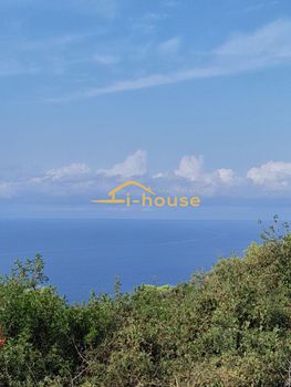 Αγροτεμάχια 5.870τ.μ. για πώληση-Κασσάνδρα » Καλάνδρα