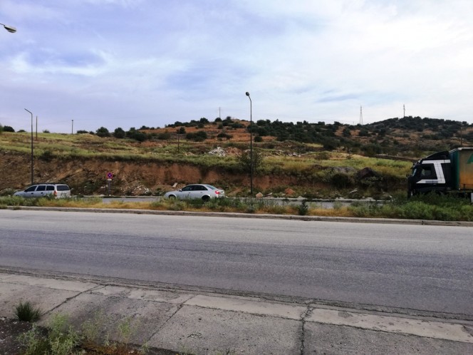 Αγροτεμάχια 24.025 τ.μ. προς πώληση, Σέσκλο