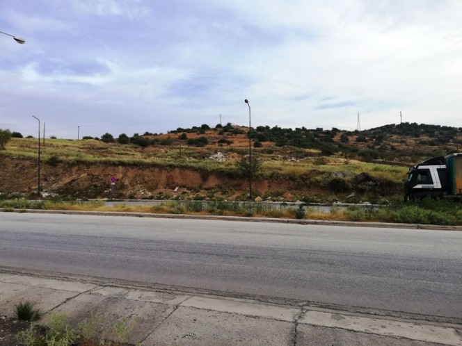Αγροτεμάχια 24.025 τ.μ. προς πώληση, Σέσκλο