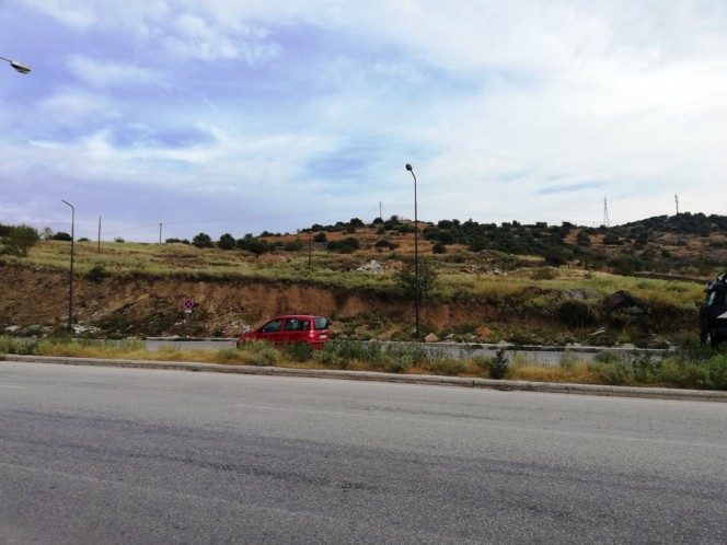 Αγροτεμάχια 24.025 τ.μ. προς πώληση, Σέσκλο
