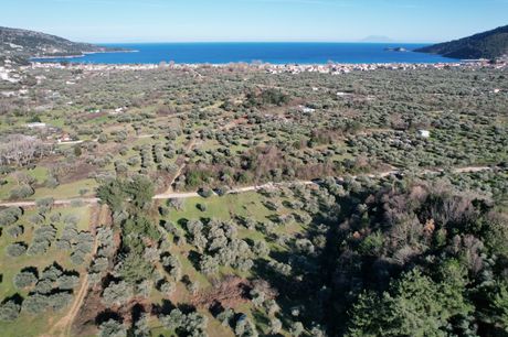 Οικόπεδο 300τ.μ. για πώληση-Θάσος » Χρυσή αμμουδιά