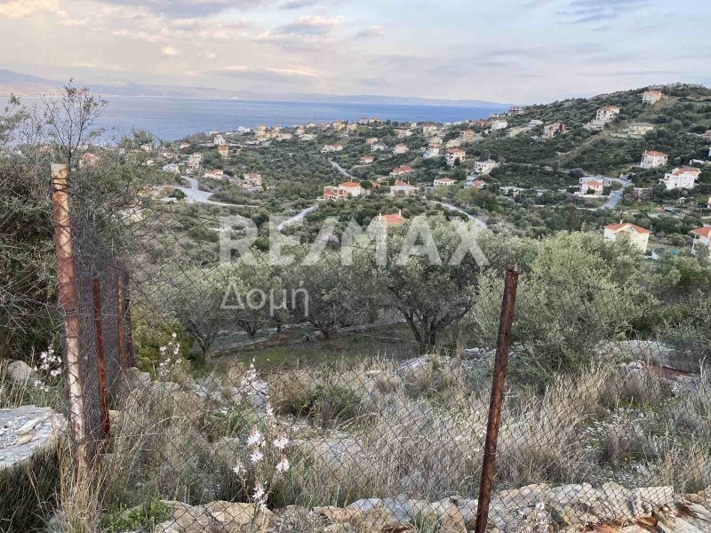 Οικόπεδο 640 τ.μ. πρός πώληση, Μαγνησία, Βόλος