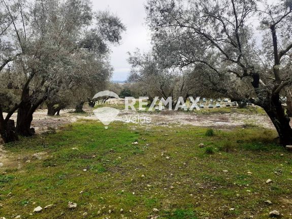 Parcel 6.684 sqm for sale, Lefkada Prefecture, Lefkada