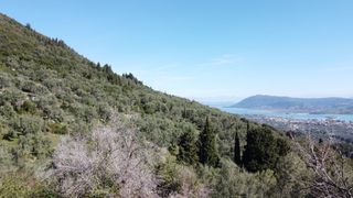 Αγροτεμάχια 9.515 τ.μ. για πώληση, Ν. Λευκάδας, Λευκάδα-thumb-3