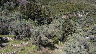 Αγροτεμάχια 9.515 τ.μ. για πώληση, Ν. Λευκάδας, Λευκάδα-thumb-10