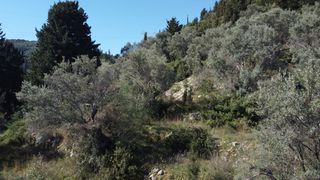 Αγροτεμάχια 9.515 τ.μ. για πώληση, Ν. Λευκάδας, Λευκάδα-thumb-8