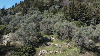 Αγροτεμάχια 9.515 τ.μ. για πώληση, Ν. Λευκάδας, Λευκάδα-thumb-2