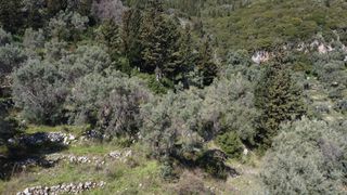 Αγροτεμάχια 9.515 τ.μ. για πώληση, Ν. Λευκάδας, Λευκάδα-thumb-1