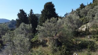 Αγροτεμάχια 9.515 τ.μ. για πώληση, Ν. Λευκάδας, Λευκάδα-thumb-7
