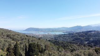 Αγροτεμάχια 9.515 τ.μ. για πώληση
