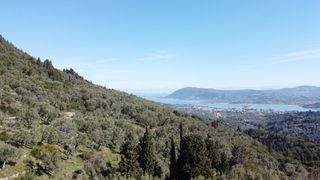 Αγροτεμάχια 9.515 τ.μ. για πώληση, Ν. Λευκάδας, Λευκάδα-thumb-4