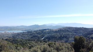 Αγροτεμάχια 9.515 τ.μ. για πώληση, Ν. Λευκάδας, Λευκάδα-thumb-6
