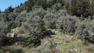 Αγροτεμάχια 9.515 τ.μ. για πώληση, Ν. Λευκάδας, Λευκάδα-thumb-9