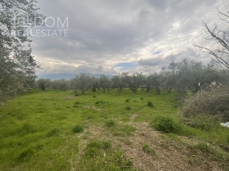 Αγροτεμάχια 3.500τ.μ. για πώληση-Καμένα βούρλα » Νέο θρόνιο