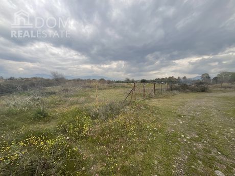 Αγροτεμάχια 4.000 τ.μ. για πώληση