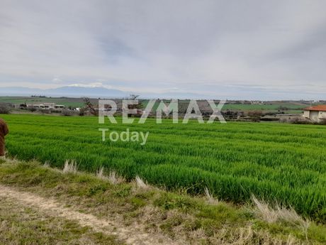 Αγροτεμάχια 4.005 τ.μ. για πώληση