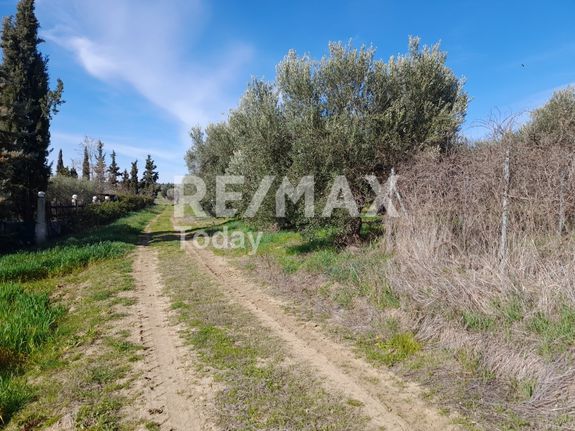 Parcel 3.170 sqm for sale, Thessaloniki - Suburbs, Epanomi