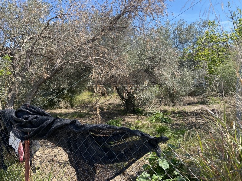 Οικόπεδο 330 τ.μ. πρός πώληση, Μαγνησία, Βόλος