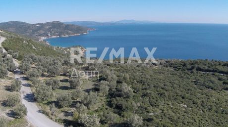 Αγροτεμάχια 10.376 τ.μ. για πώληση