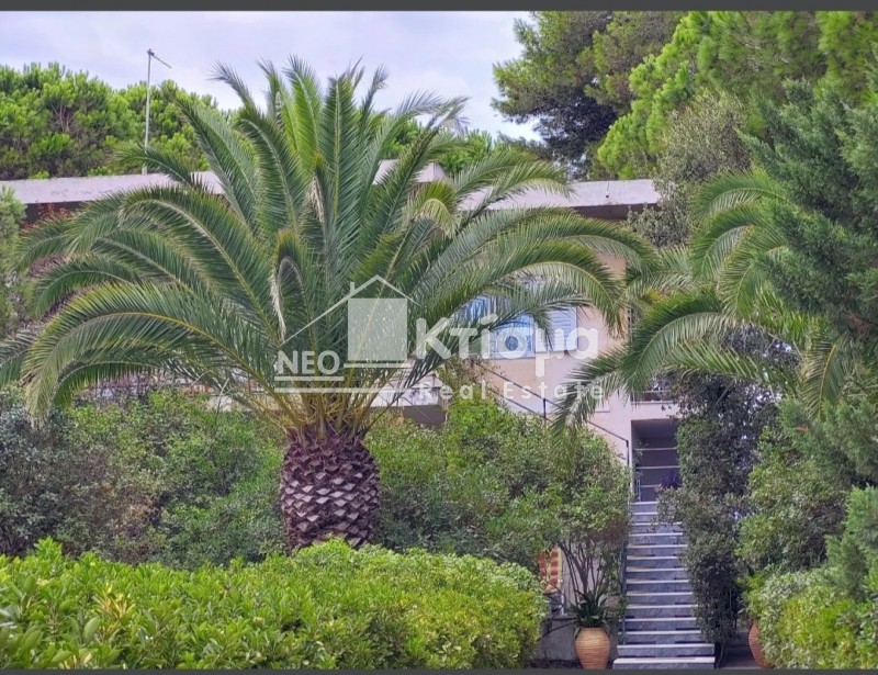 Μονοκατοικία 218 τ.μ. πρός πώληση, Ν. Ηλείας, Πύργος