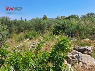 Οικόπεδο 4.021 τ.μ. για πώληση, Ν. Χανίων, Βάμος-thumb-17