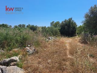 Οικόπεδο 4.021 τ.μ. για πώληση, Ν. Χανίων, Βάμος-thumb-14