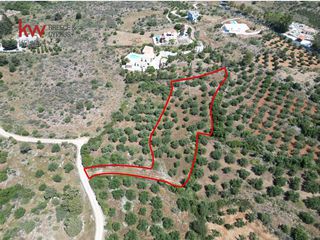 Οικόπεδο 4.021 τ.μ. για πώληση, Ν. Χανίων, Βάμος-thumb-1